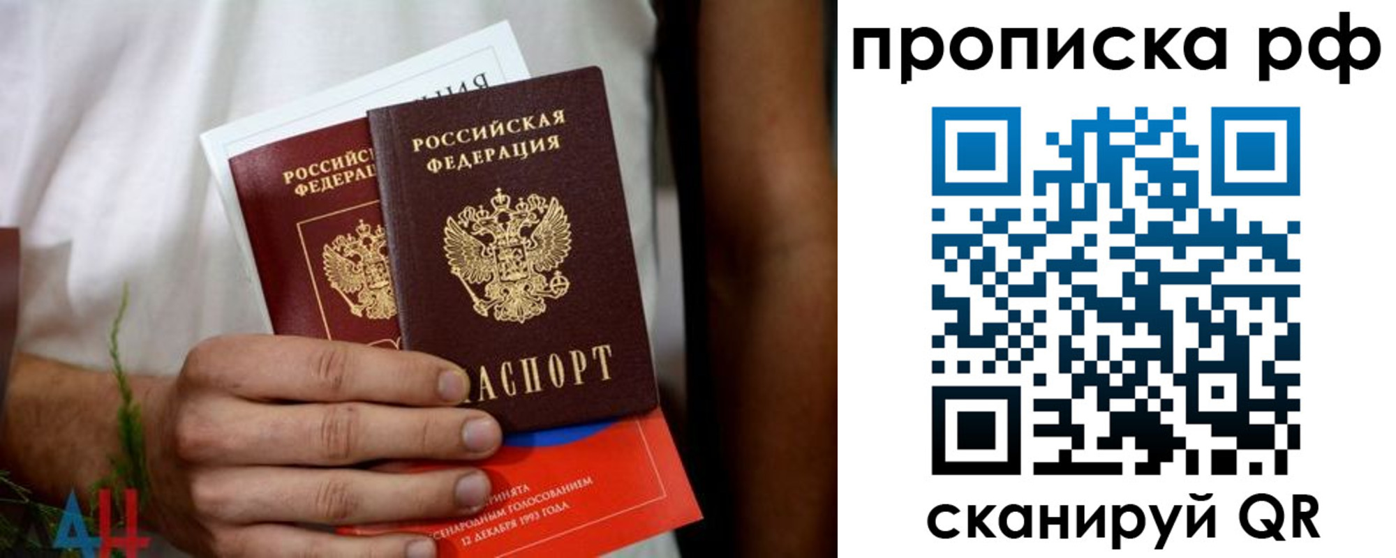 прописка паспорт в Ленинградской области